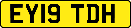 EY19TDH