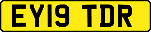 EY19TDR