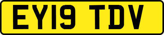 EY19TDV