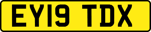 EY19TDX