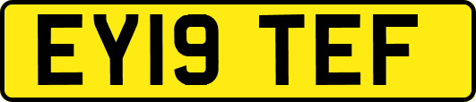 EY19TEF