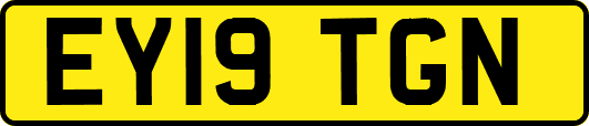 EY19TGN