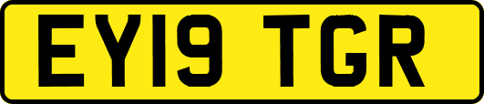 EY19TGR