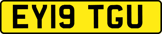 EY19TGU