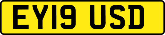 EY19USD