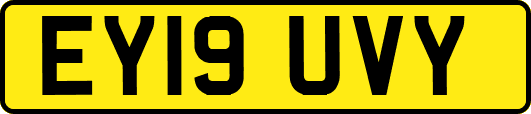 EY19UVY