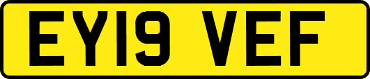 EY19VEF