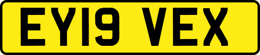EY19VEX