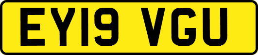 EY19VGU