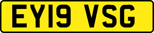 EY19VSG