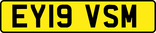 EY19VSM