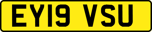 EY19VSU