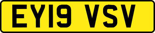 EY19VSV