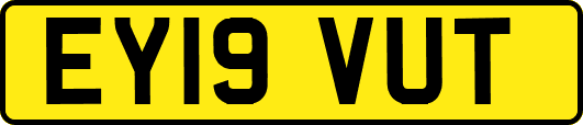 EY19VUT