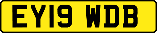 EY19WDB