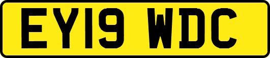EY19WDC