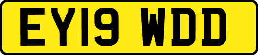 EY19WDD