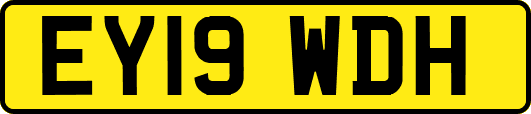 EY19WDH