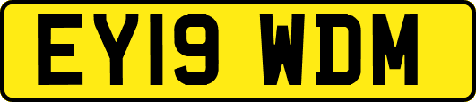 EY19WDM