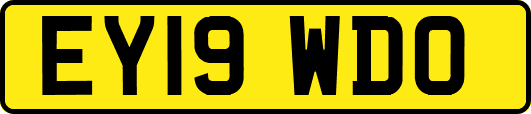 EY19WDO