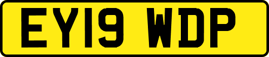 EY19WDP