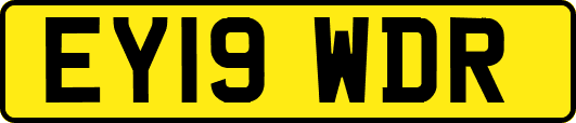 EY19WDR