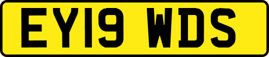 EY19WDS