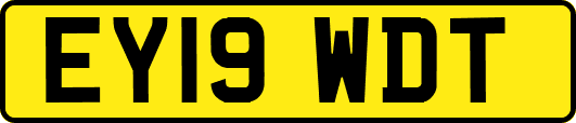 EY19WDT