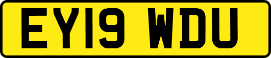 EY19WDU