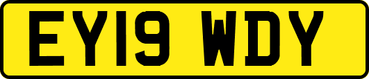EY19WDY