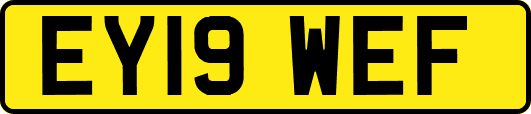 EY19WEF