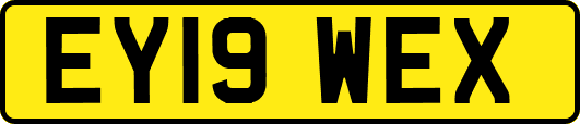 EY19WEX