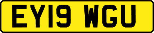 EY19WGU