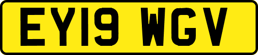 EY19WGV