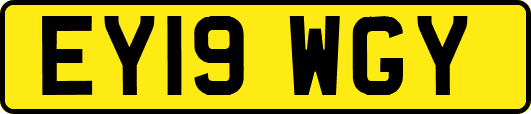 EY19WGY