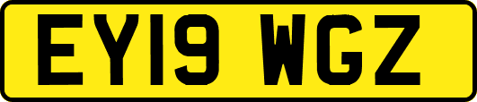 EY19WGZ