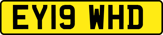 EY19WHD