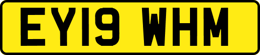 EY19WHM