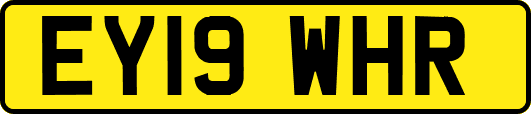 EY19WHR