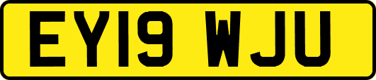 EY19WJU
