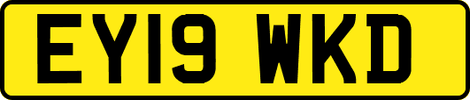 EY19WKD