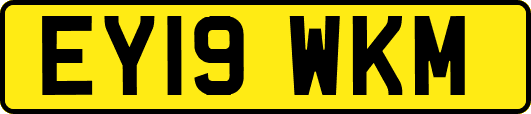 EY19WKM