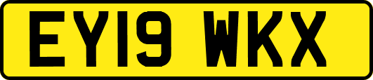 EY19WKX