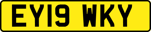 EY19WKY