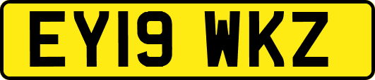 EY19WKZ