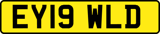 EY19WLD