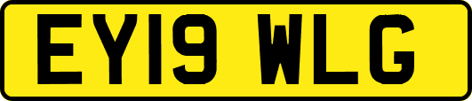EY19WLG