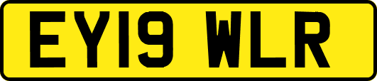EY19WLR