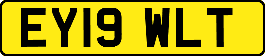 EY19WLT
