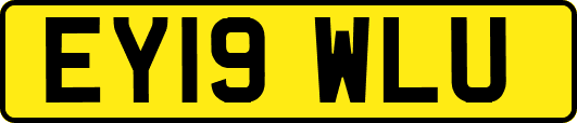 EY19WLU